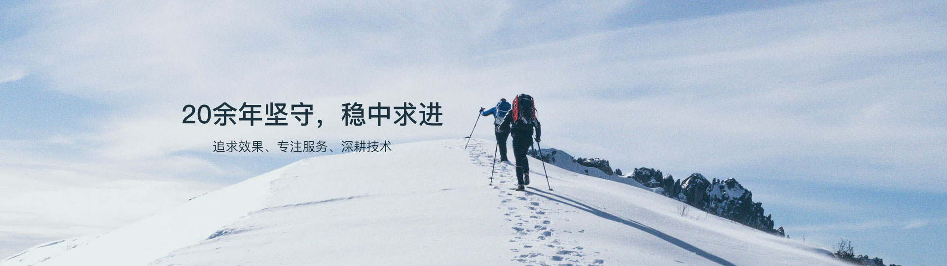 企業(yè)歷程
