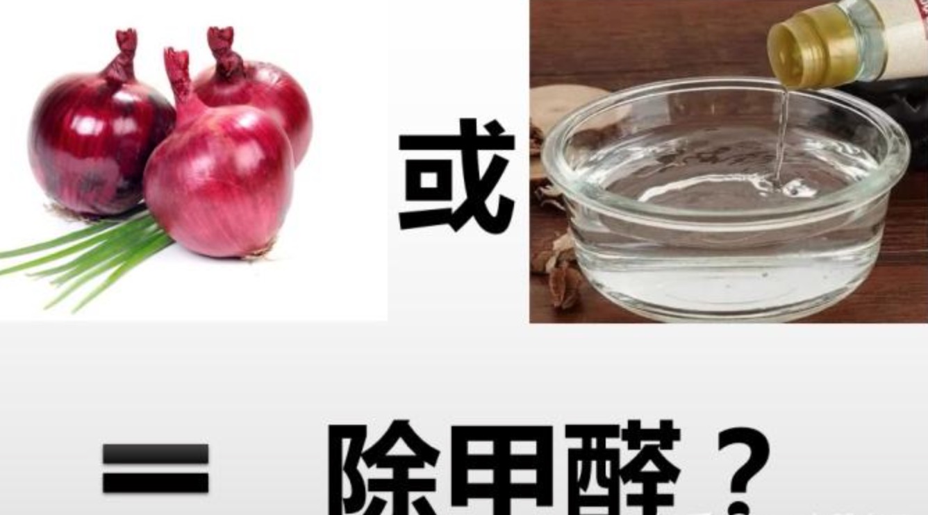 洋蔥和醋能除甲醛嗎？