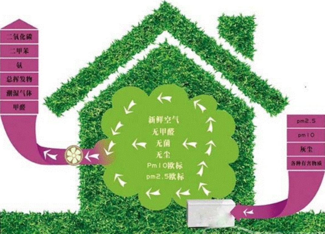 除甲醛的產(chǎn)品有哪些？