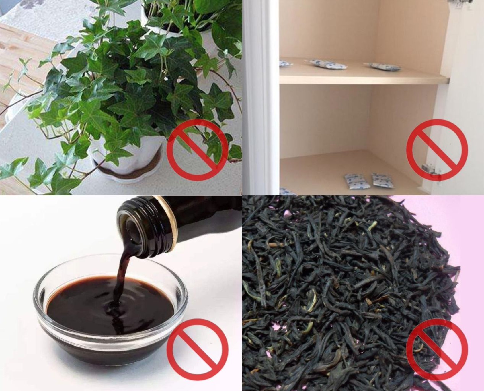 除甲醛用什么東西比較快？