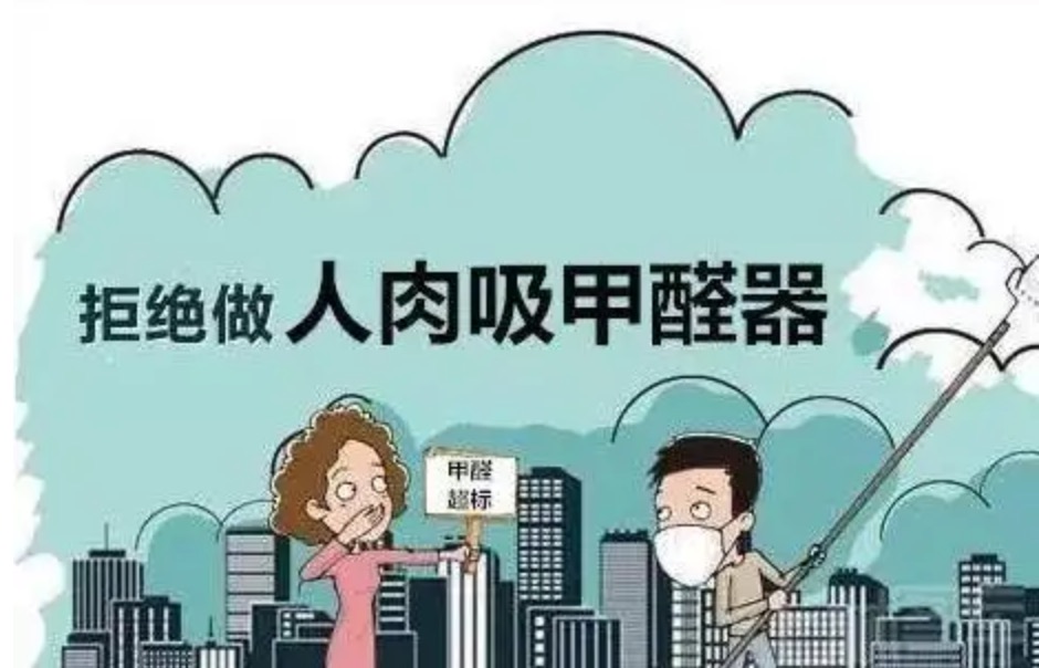家里剛裝修好，放什么東西能吸甲醛？