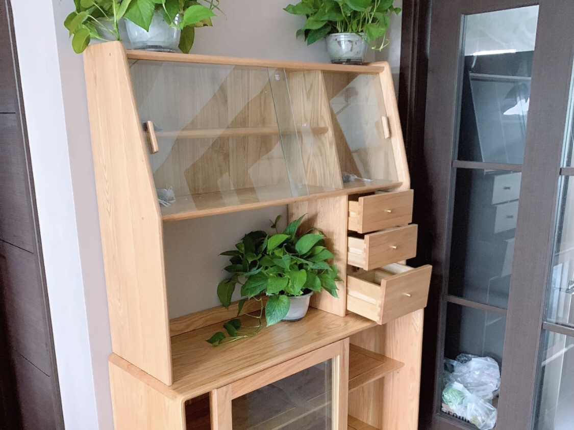 綠植吸甲醛