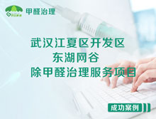 武漢江夏區(qū)東湖網(wǎng)谷辦公室除甲醛治理服務(wù)項(xiàng)目