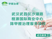 武漢武昌區(qū)桃源國(guó)際商業(yè)中心除甲醛治理服務(wù)項(xiàng)目