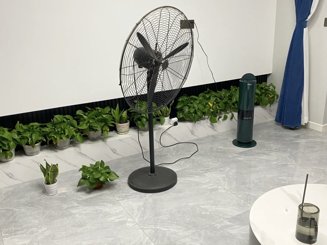 綠植吸甲醛