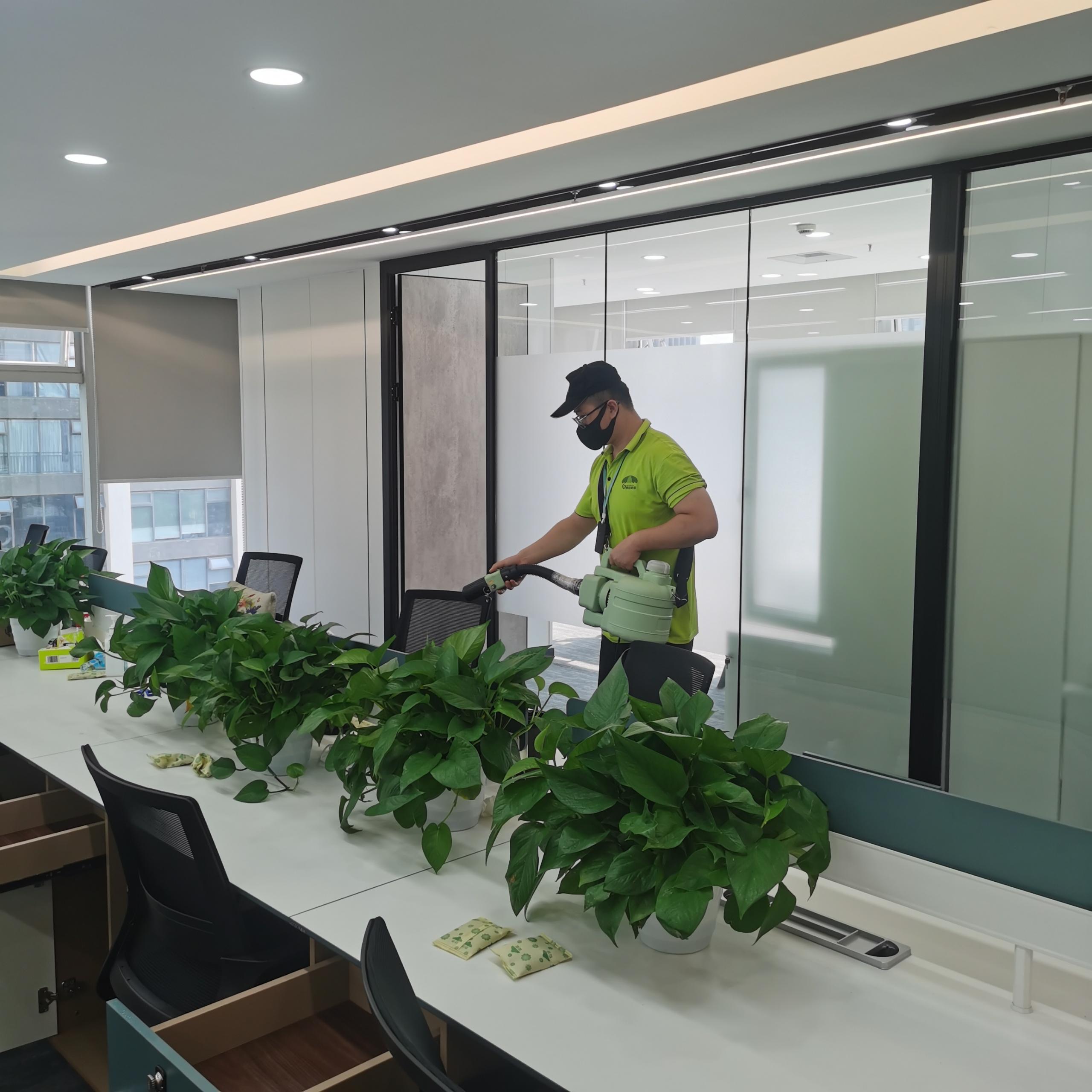 辦公室放綠植吸甲醛