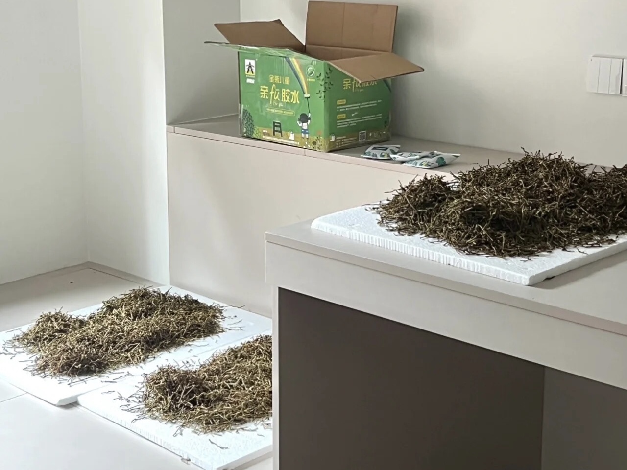 茶葉吸甲醛