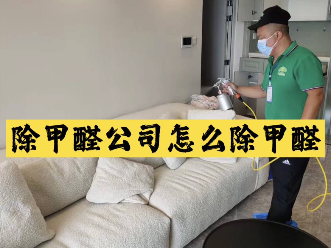 除甲醛公司怎么除甲醛？