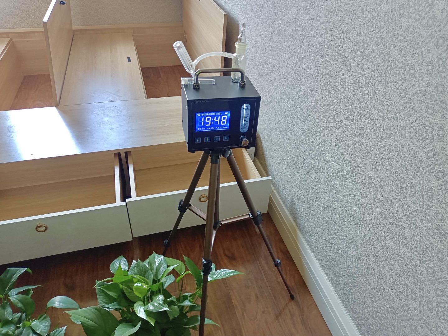 家里咋樣除甲醛？