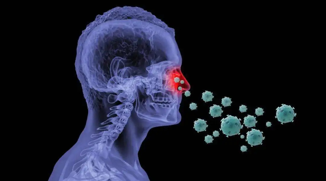 鼻病毒感染是什么引起的，日常消毒殺菌有用嗎？