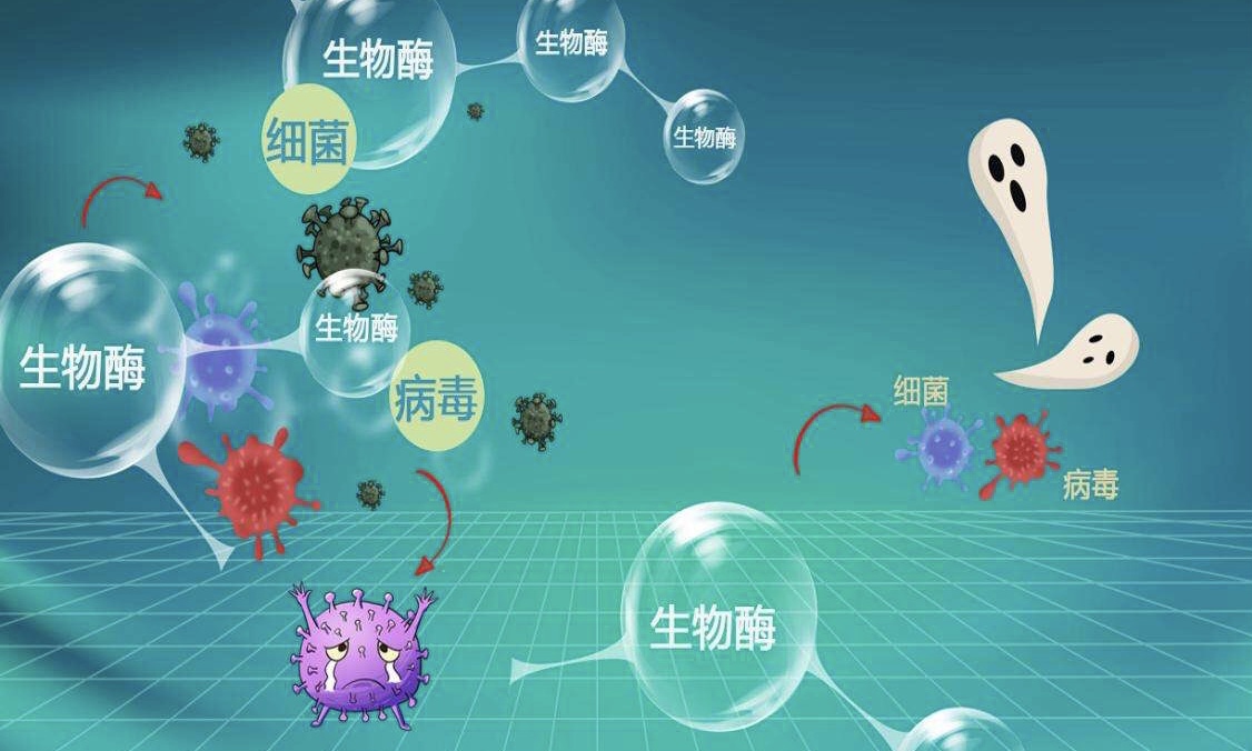 生物酶甲醛清除劑