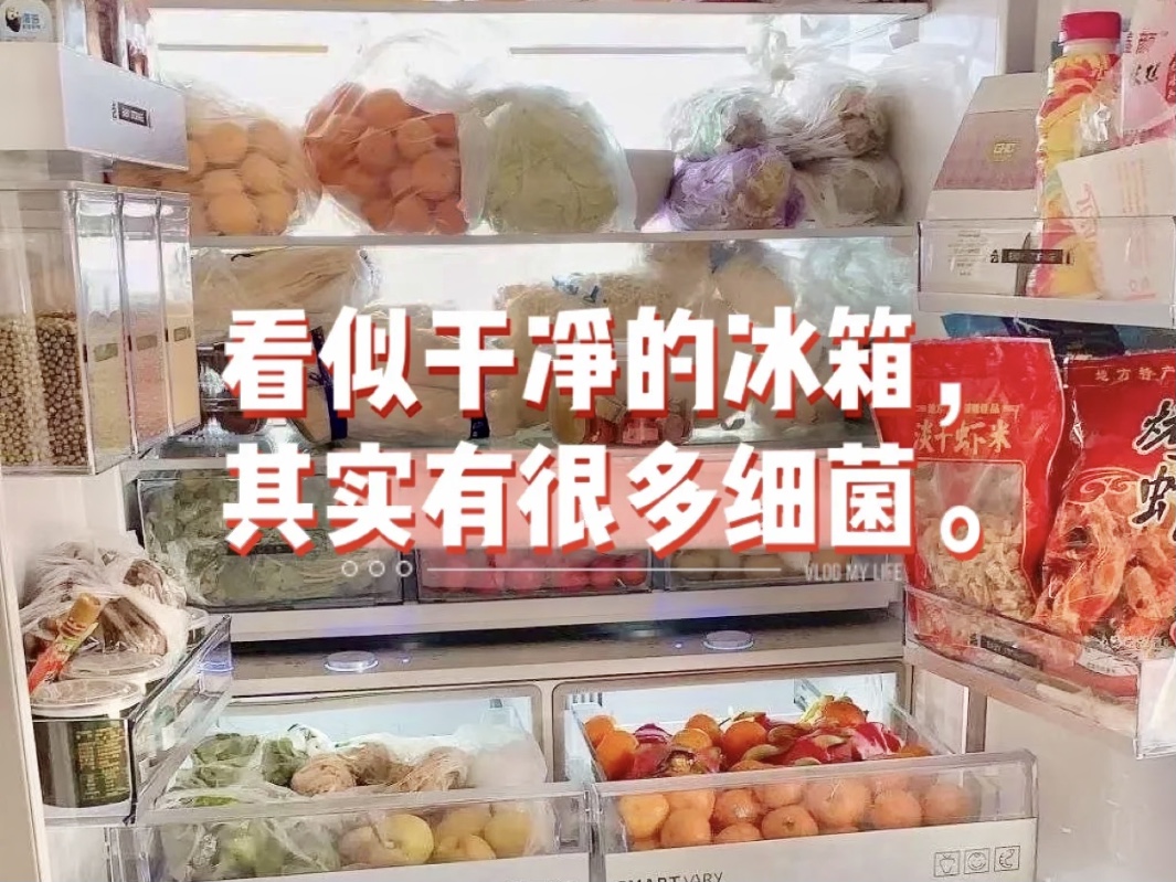 冰箱細(xì)菌不容忽視，清除冰箱細(xì)菌的辦法