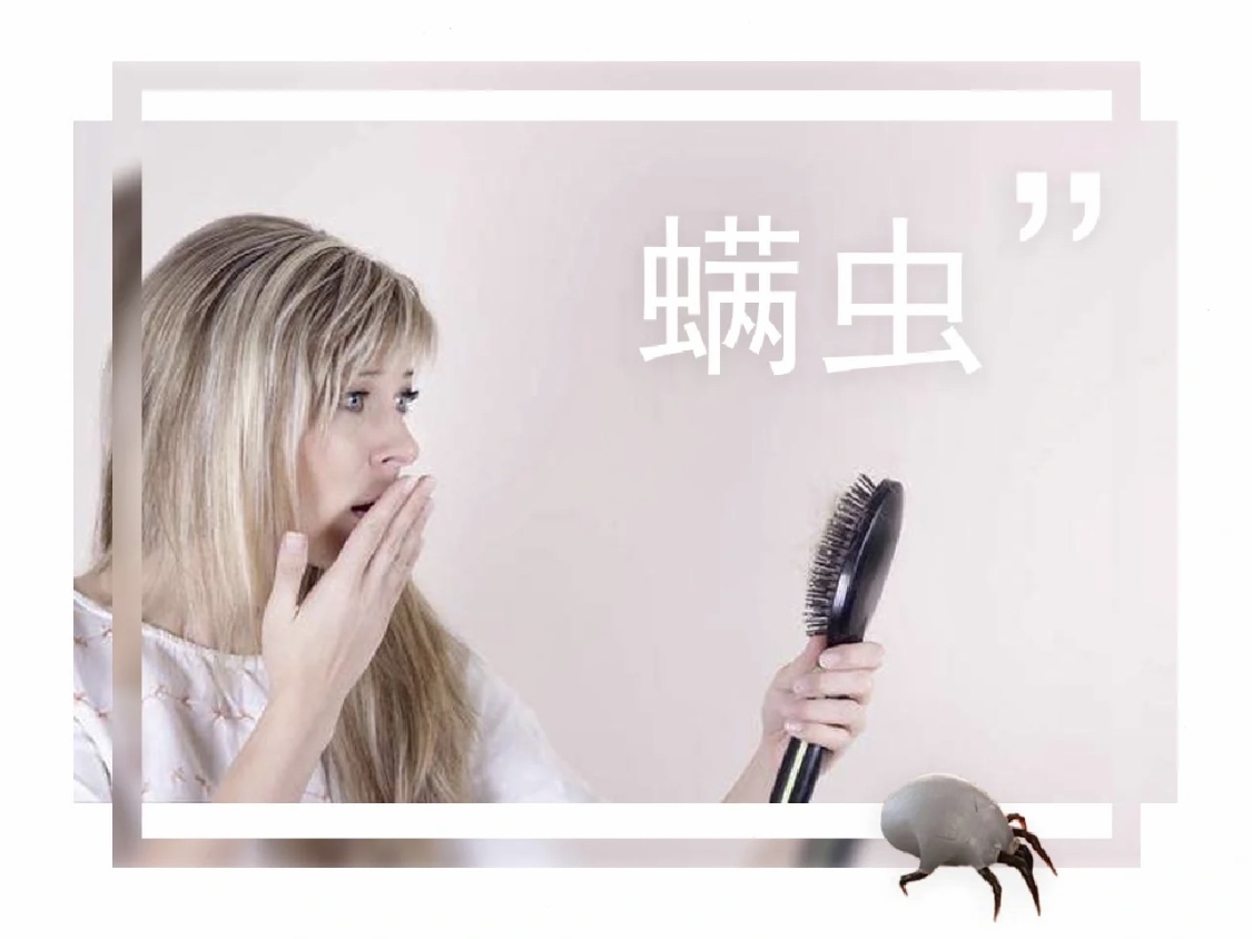 螨蟲對我們的危害有多大？