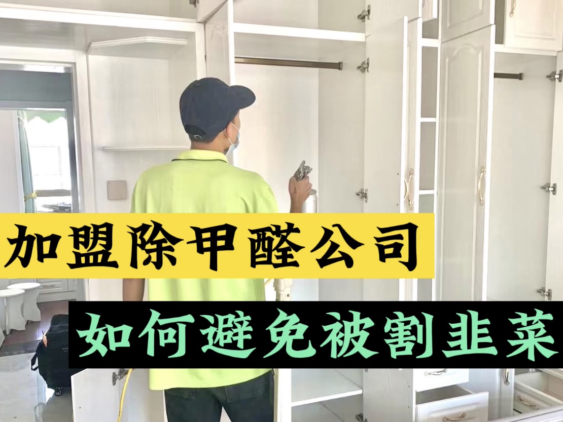 加盟除甲醛公司如何避免被割韭菜？