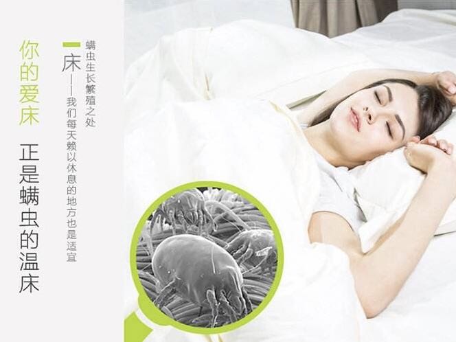 螨蟲