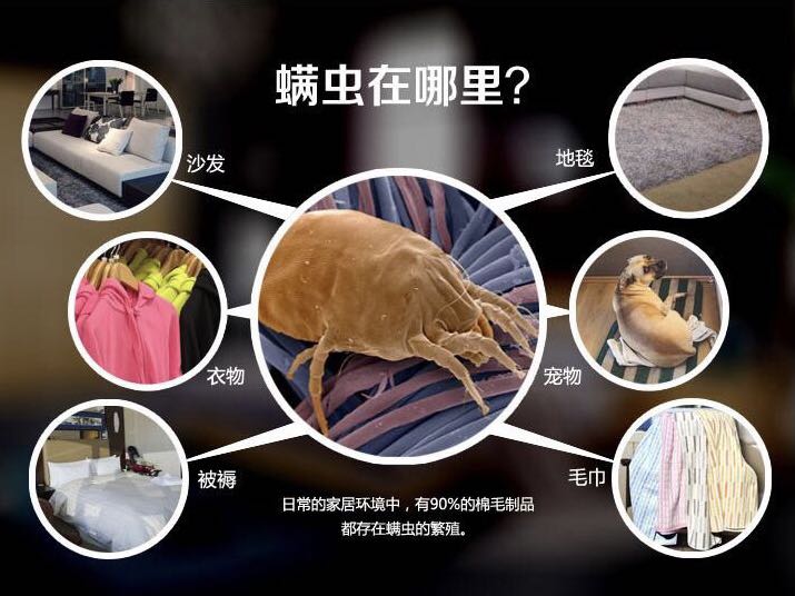 螨蟲
