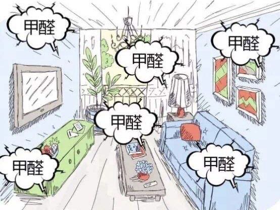 快速入住新家，除甲醛救星！