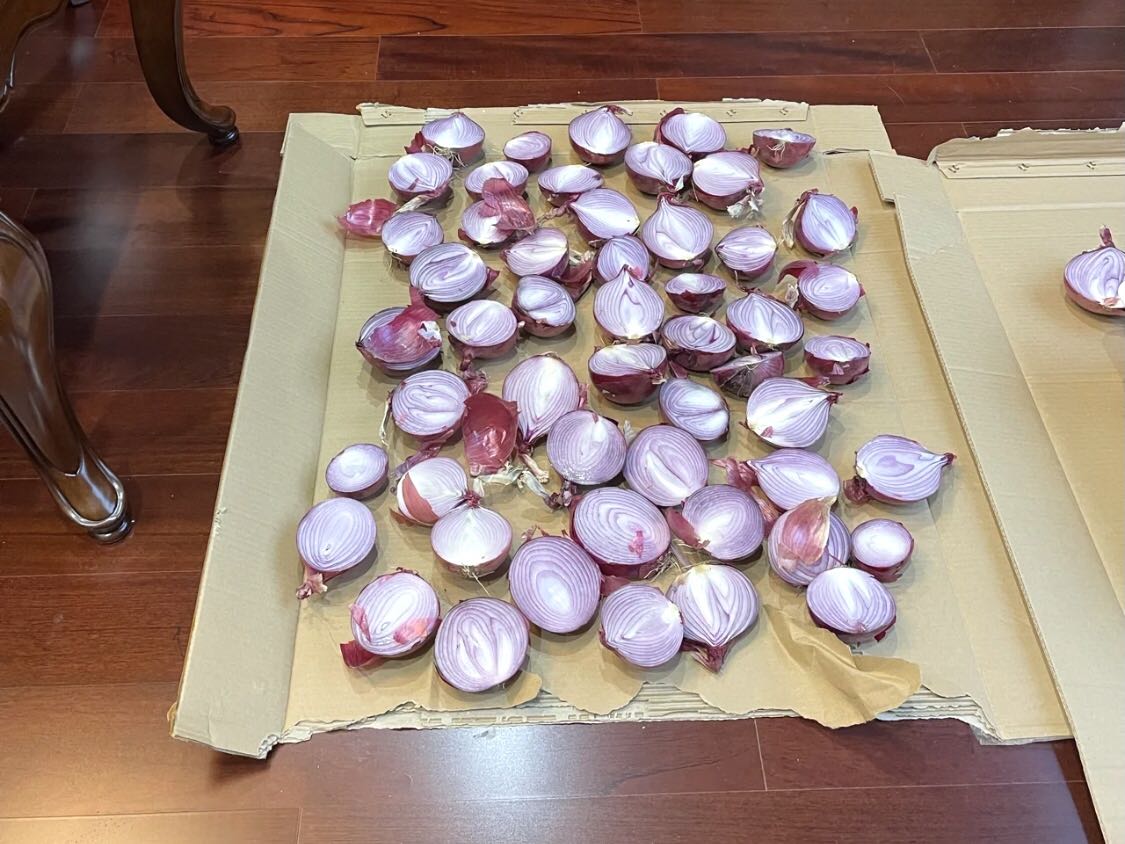 為什么不推薦洋蔥除甲醛？