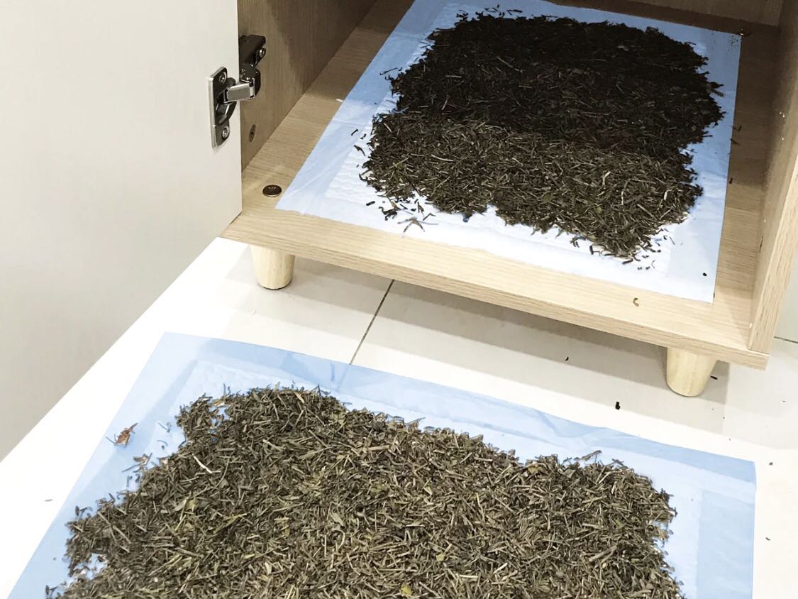 不能，茶葉不能去甲醛。