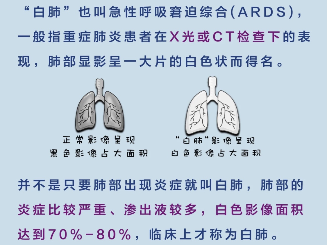 白肺是什么？