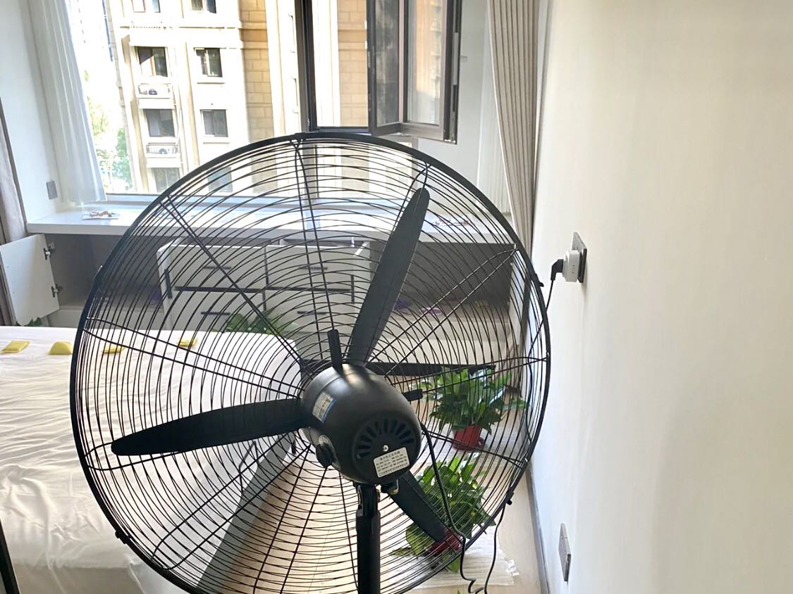 除甲醛最有效的方法集錦
