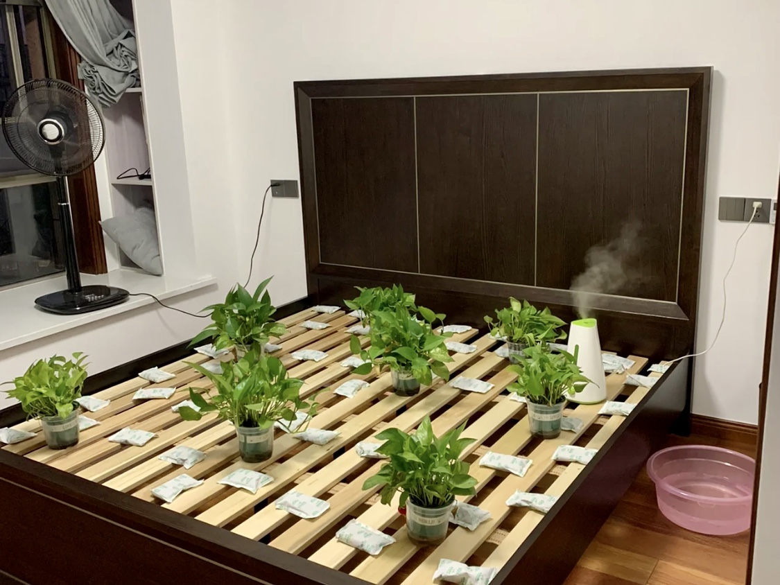 綠植、炭包對甲醛的治理有限