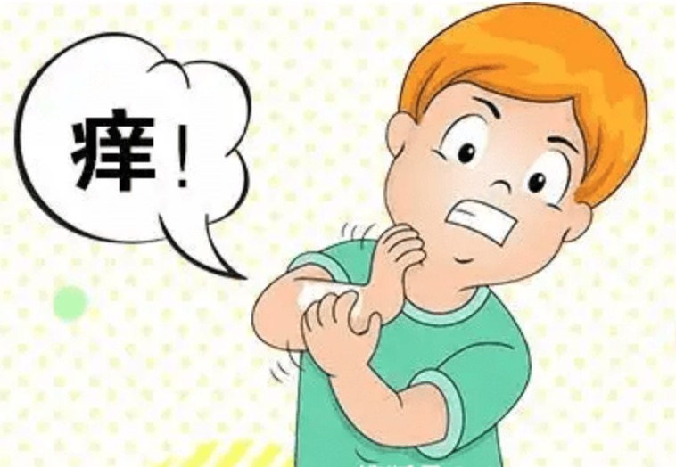 皮膚經(jīng)常瘙癢？問題可能出在這6點(diǎn)！
