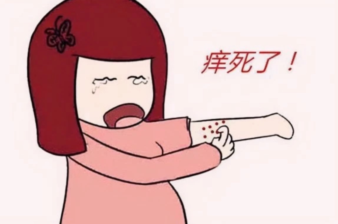 皮膚經(jīng)常瘙癢