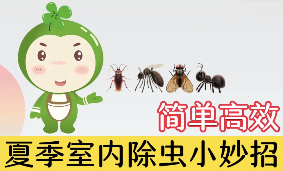 夏季室內除蟲小妙招，簡單高效
