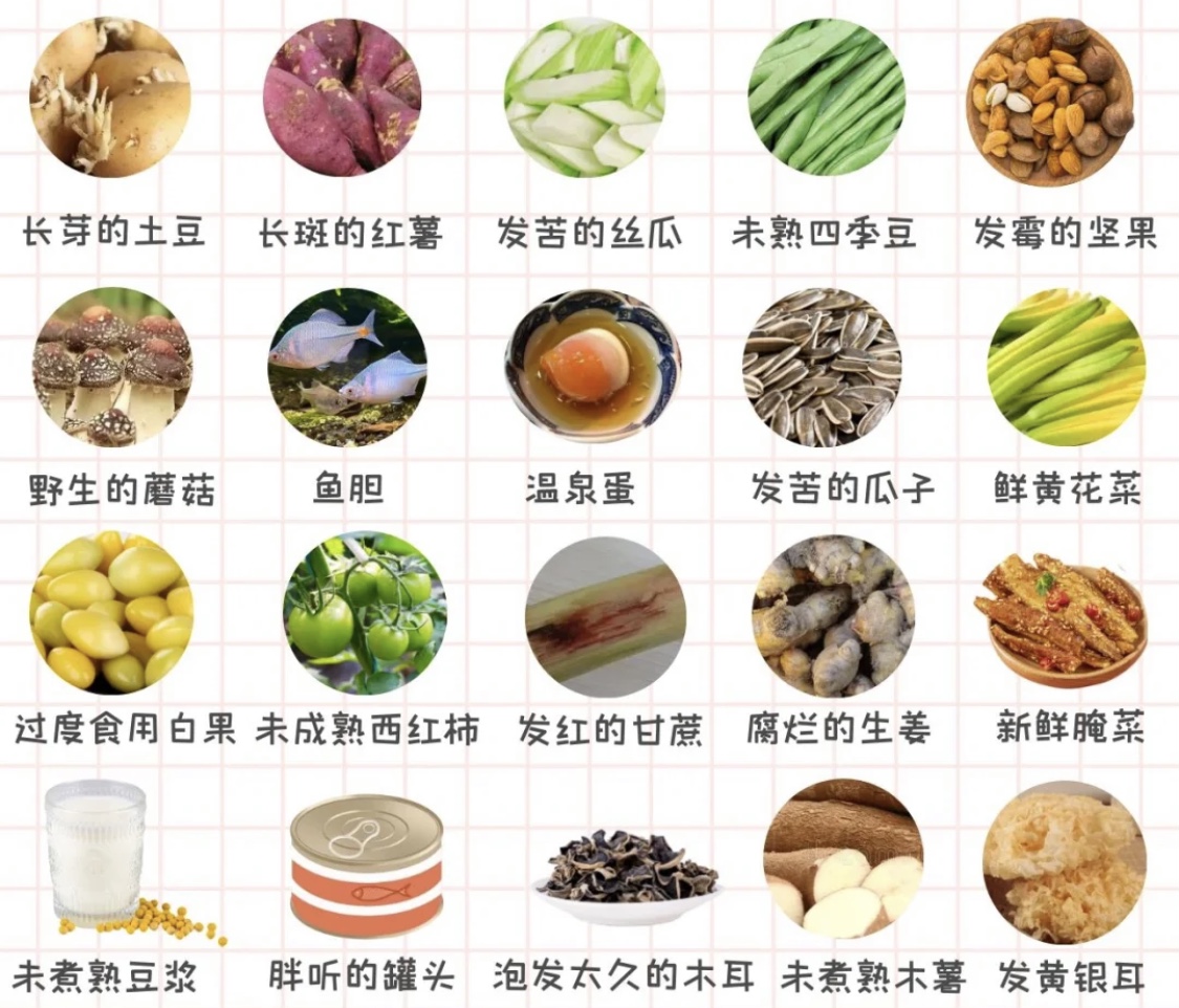 多吃蔬菜的同時，也要注意食物中毒！