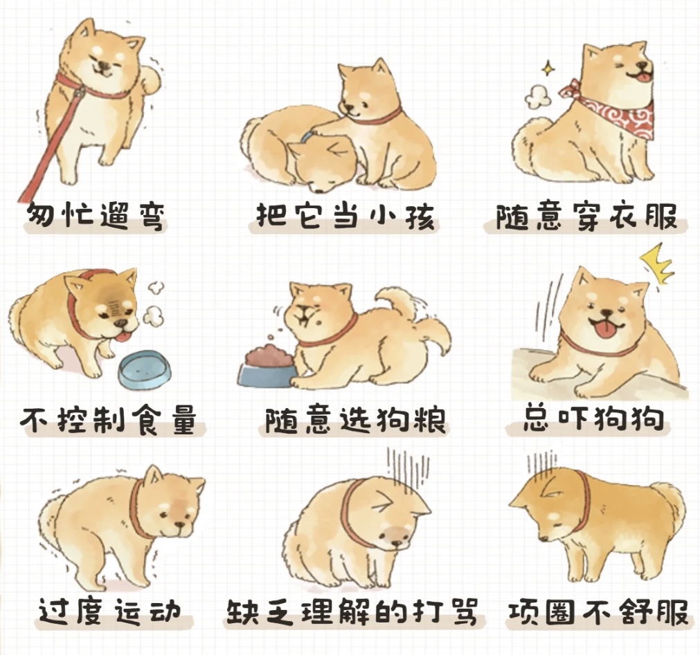 養(yǎng)綠植寵物，這些方面要注意